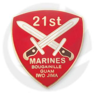 USMC 21ST Marine Pin