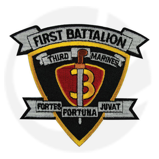 1st 2nd الكتيبة الثالثة من مشاة البحرية